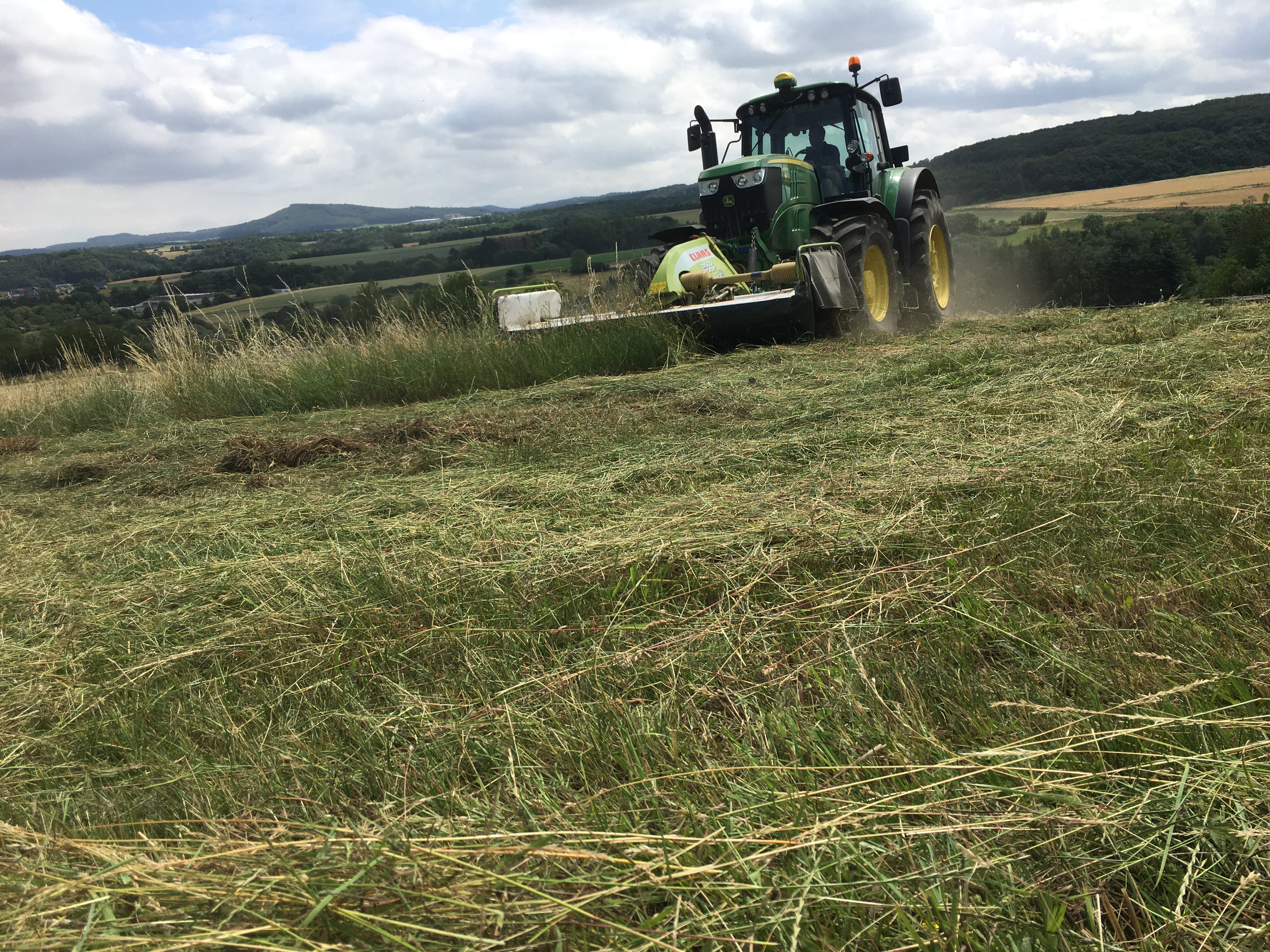 Fütterung / Stallhygiene
